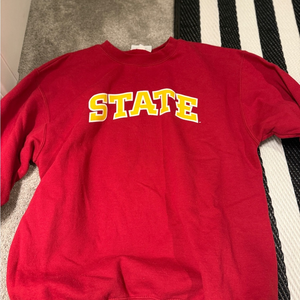 Champion Red Sweatshirt